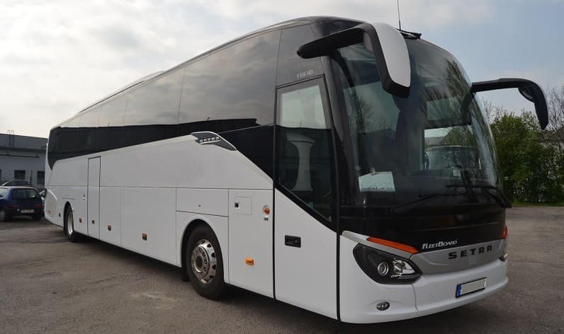 Santa Cruz: Buses company in Kielce in Kielce and Poland