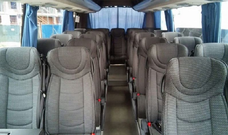 Poland: Coach hire in Podkarpackie in Podkarpackie and Mielec
